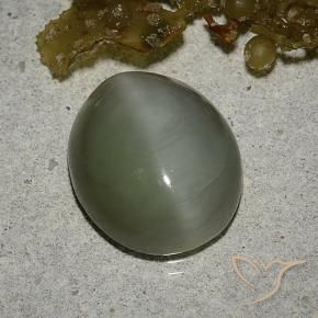 6.78克拉天然阳起石猫眼，椭圆形，半透明