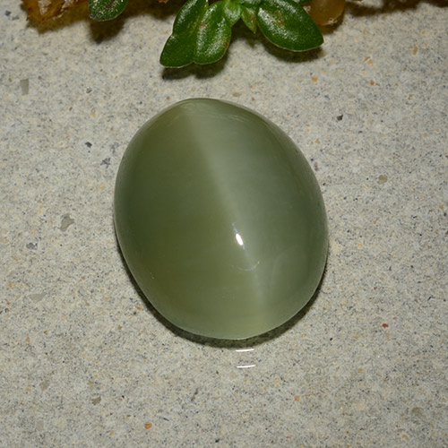 5.33克拉天然绿色Actinolite Cat's Eye，椭圆形切割，13.3×10.7毫米，半透明
