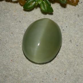 5.33克拉天然绿色Actinolite Cat's Eye，椭圆形切割，13.3×10.7毫米，半透明