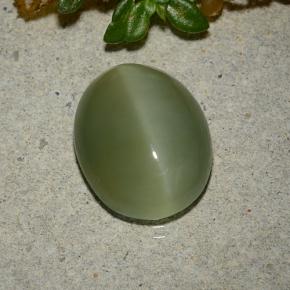 5.33克拉天然绿色Actinolite Cat's Eye，椭圆形切割，13.3×10.7毫米，半透明