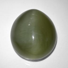 9.44克拉天然绿色Actinolite Cat's Eye，椭圆形切割，14.4×13.1毫米，半透明