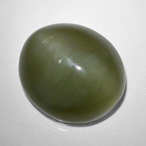 9.44克拉天然绿色Actinolite Cat's Eye，椭圆形切割，14.4×13.1毫米，半透明