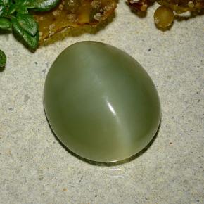 9.08克拉天然绿色Actinolite Cat's Eye，椭圆形切割，14.7×12.7毫米，半透明