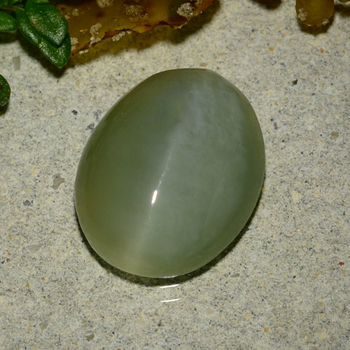 4.86克拉天然绿色Actinolite Cat's Eye，椭圆形切割，13.2×10.6毫米，半透明