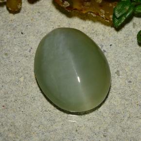 4.86克拉天然绿色Actinolite Cat's Eye，椭圆形切割，13.2×10.6毫米，半透明