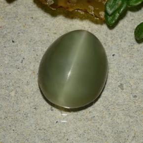 3.59克拉天然绿色Actinolite Cat's Eye，椭圆形切割，10.8×8.7毫米，半透明
