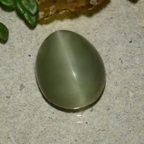 3.59克拉天然绿色Actinolite Cat's Eye，椭圆形切割，10.8×8.7毫米，半透明