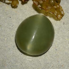 5.70克拉天然绿色Actinolite Cat's Eye，椭圆形切割，13.1×11.5毫米，半透明