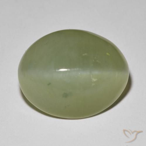 11.42ct 天然 灰绿色 阳起石猫眼, 椭圆形, 半透明