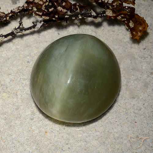 8.89ct 天然 暗绿色 阳起石猫眼, 椭圆形, 半透明