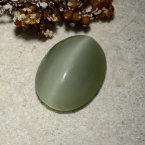 4.81克拉天然绿色Actinolite Cat's Eye，椭圆形切割，13.2×10.2毫米，半透明