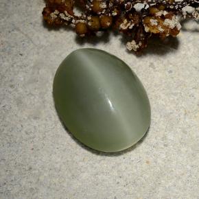 4.81克拉天然绿色Actinolite Cat's Eye，椭圆形切割，13.2×10.2毫米，半透明