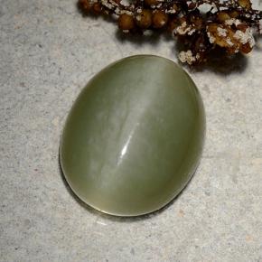 9.06克拉天然绿色Actinolite Cat's Eye，椭圆形切割，15.2×12.2毫米，半透明