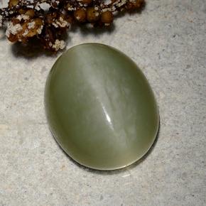 9.06克拉天然绿色Actinolite Cat's Eye，椭圆形切割，15.2×12.2毫米，半透明