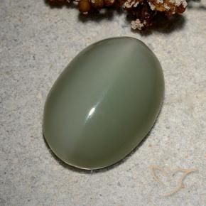 8.62克拉天然阳起石猫眼，椭圆形，半透明