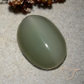 8.62克拉天然阳起石猫眼，椭圆形，半透明
