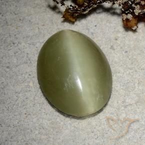 5.10克拉天然绿色Actinolite Cat's Eye，椭圆形切割，14.4×11.2毫米，半透明
