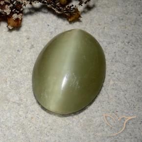 5.10克拉天然绿色Actinolite Cat's Eye，椭圆形切割，14.4×11.2毫米，半透明