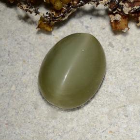 2.78克拉天然绿色Actinolite Cat's Eye，椭圆形切割，10.3×8毫米，半透明