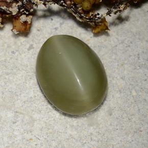 2.78克拉天然绿色Actinolite Cat's Eye，椭圆形切割，10.3×8毫米，半透明
