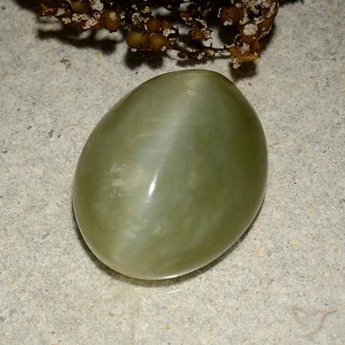 10.95ct 天然 大地绿 阳起石猫眼, 椭圆形, 半透明