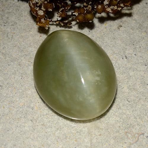 10.95克拉天然阳起石猫眼，椭圆形，半透明
