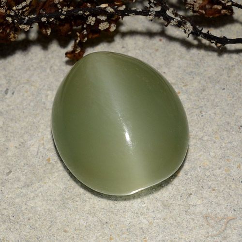 7.32ct 天然 暖绿 阳起石猫眼, 椭圆形, 半透明