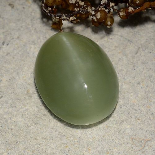 5.84ct 天然 大地绿 阳起石猫眼, 椭圆形, 半透明