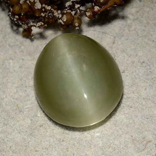 6.75ct 天然 暖绿 阳起石猫眼, 椭圆形, 半透明