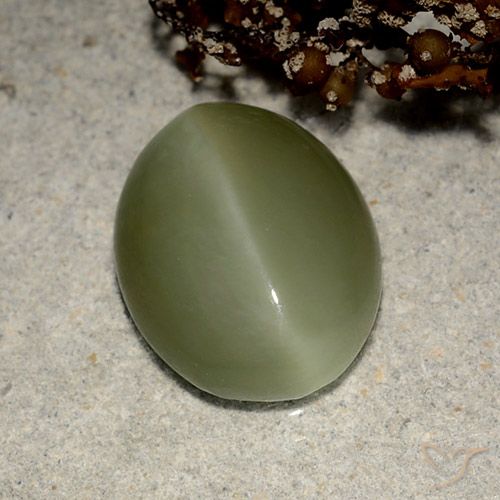5.41克拉天然绿色Actinolite Cat's Eye，椭圆形切割，13.5×10.7毫米，半透明