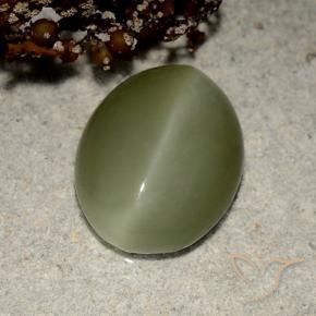 5.41克拉天然绿色Actinolite Cat's Eye，椭圆形切割，13.5×10.7毫米，半透明