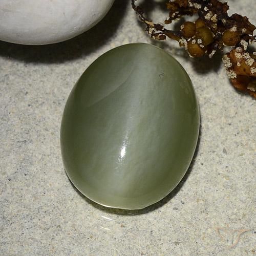 8.99ct 天然 苔绿色 阳起石猫眼, 椭圆形, 半透明