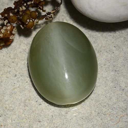 8.99克拉天然阳起石猫眼，椭圆形，半透明