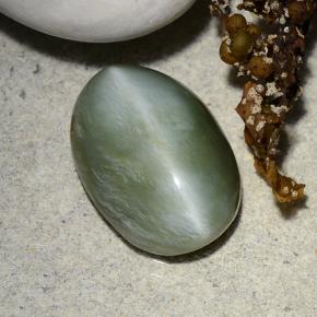 4.96克拉天然绿色Actinolite Cat's Eye，椭圆形切割，14.1×10毫米，半透明