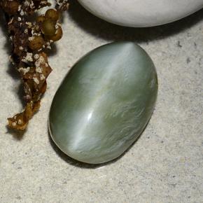 4.96克拉天然绿色Actinolite Cat's Eye，椭圆形切割，14.1×10毫米，半透明
