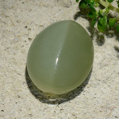 6.57ct 天然 灰绿色 阳起石猫眼, 椭圆形, 半透明