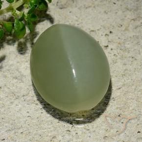 6.57克拉天然阳起石猫眼，椭圆形，半透明