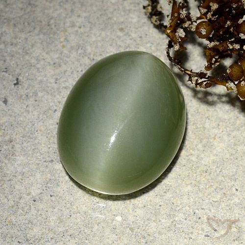 5.91ct 天然 大地绿 阳起石猫眼, 椭圆形, 半透明