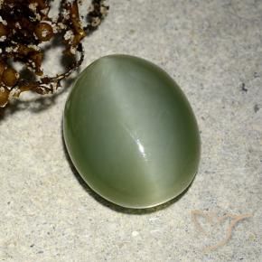 5.91克拉天然阳起石猫眼，椭圆形，半透明