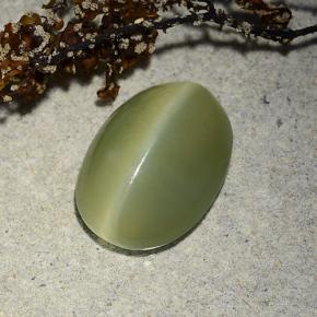 4.89克拉天然绿色Actinolite Cat's Eye，椭圆形切割，13.5×9.9毫米，半透明