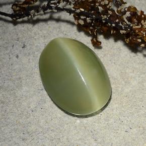 4.89克拉天然绿色Actinolite Cat's Eye，椭圆形切割，13.5×9.9毫米，半透明