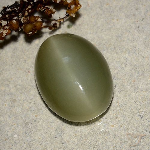 7.05克拉天然阳起石猫眼，椭圆形，半透明