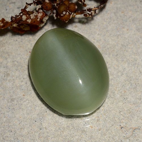 6.88ct 天然 中绿色 阳起石猫眼, 椭圆形, 半透明