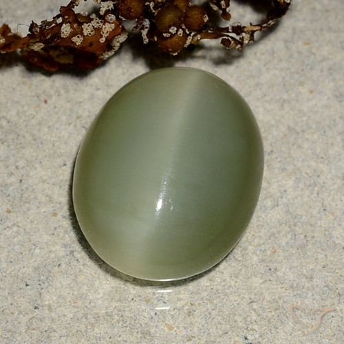 5.10ct 天然 黄绿色 阳起石猫眼, 椭圆形, 半透明