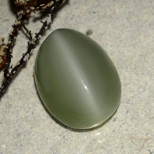 6.84克拉天然阳起石猫眼，椭圆形，半透明