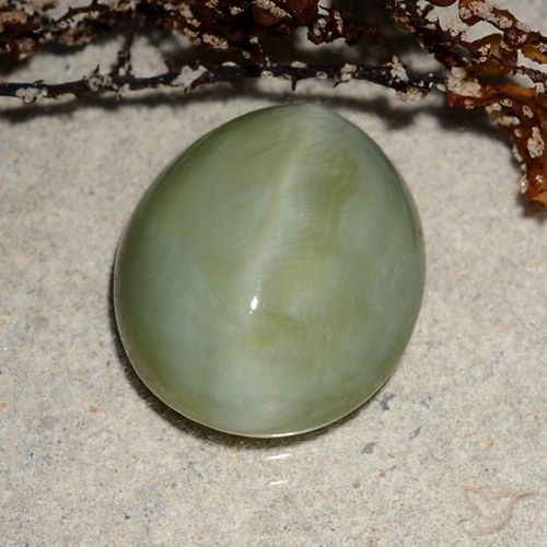 6.52ct 天然 暖绿 阳起石猫眼, 椭圆形, 半透明
