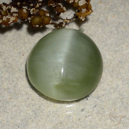 4.90ct 天然 暖绿 阳起石猫眼, 椭圆形, 半透明