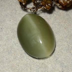 4.69克拉天然绿色Actinolite Cat's Eye，椭圆形切割，13.6×9.7毫米，半透明