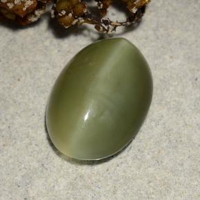4.69克拉天然绿色Actinolite Cat's Eye，椭圆形切割，13.6×9.7毫米，半透明