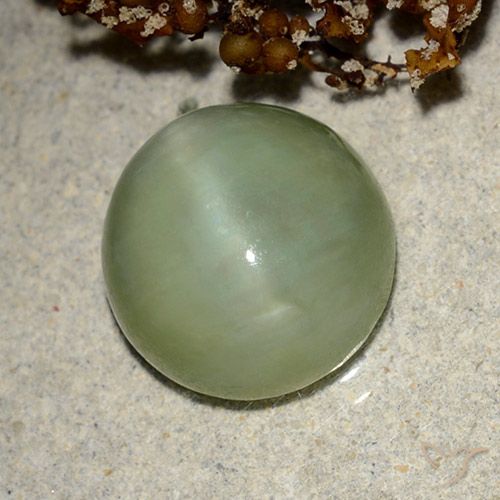 6.42ct 天然 暖绿 阳起石猫眼, 椭圆形, 半透明